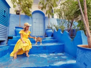 Fes To Chefchaouen Drive: The Ultimate Road Trip Guide