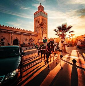 Casablanca To Marrakech Drive