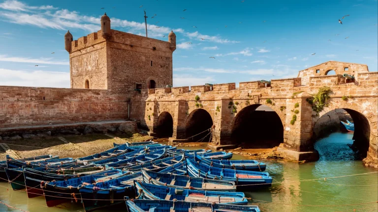 Essaouira medina with white walls and blue doors overlooking the ocean