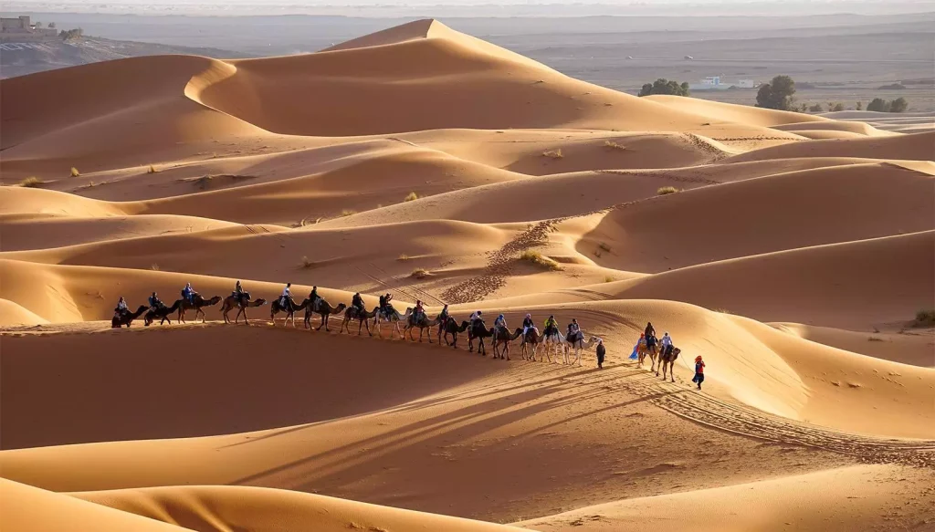Fes to Marrakech Desert Tour