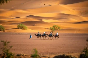 Planning To Morocco | Morocco Tours, Desert Trips & Travel Itineraries2026