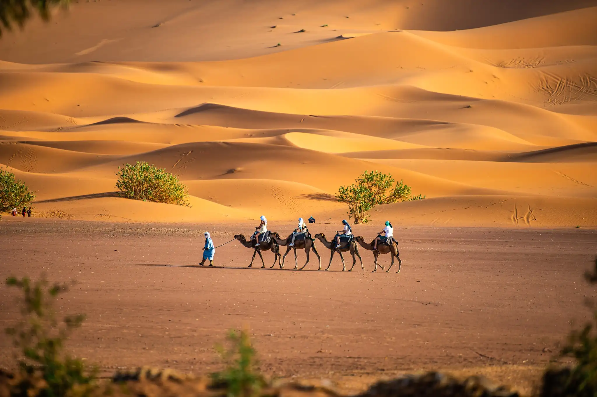 Planning To Morocco | Morocco Tours, Desert Trips & Travel Itineraries2026