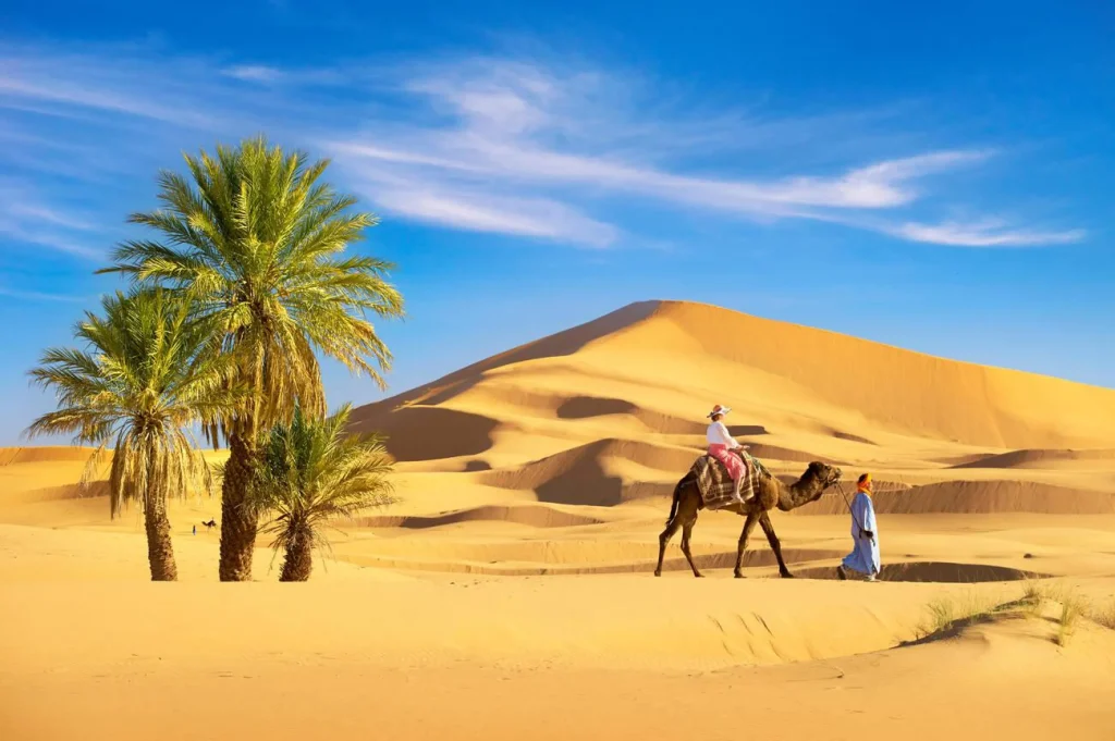 How Long Is the Drive From Marrakech to the Desert