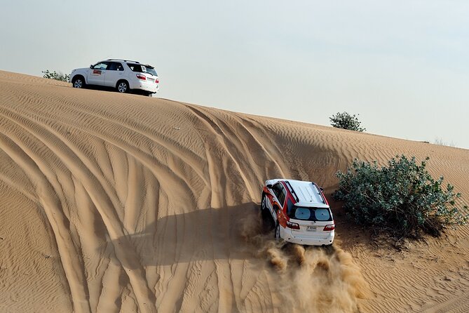 Agadir desert safari experience with sand dunes, camel rides, and off-road adventures