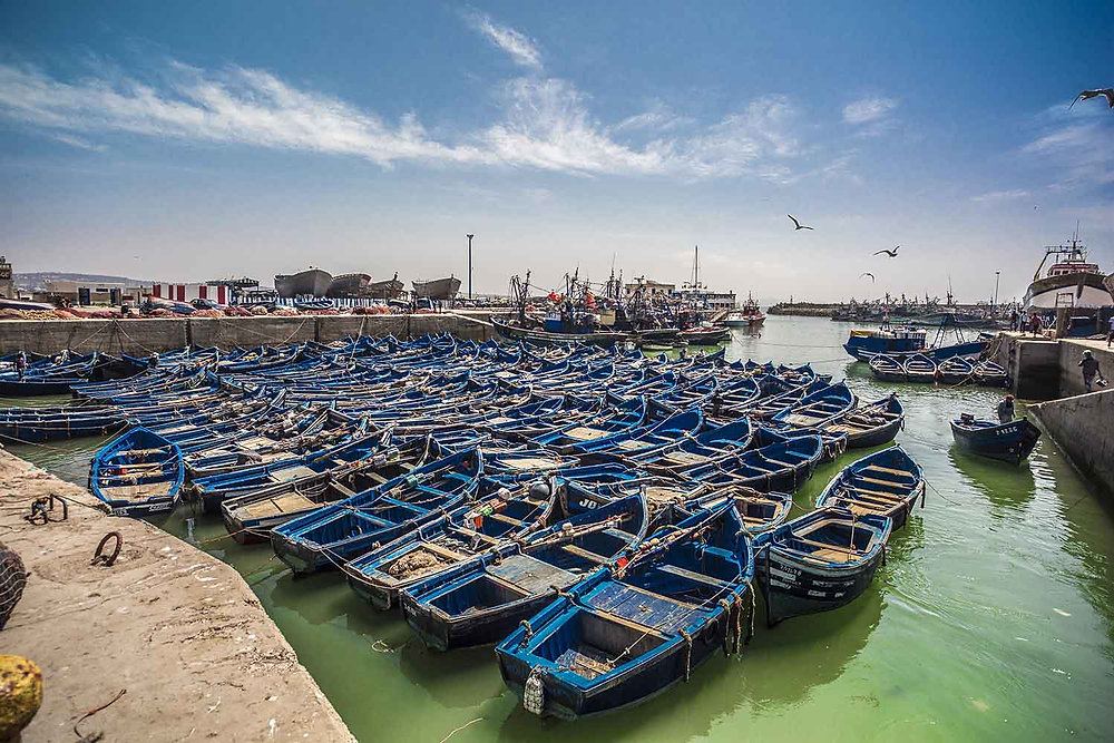 16 Amazing Things to Do in Essaouira: Essaouira Excursion From Marrakech (Ultimate Day Trip Guide)