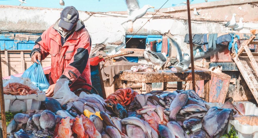 16 Amazing Things to Do in Essaouira: Essaouira Excursion From Marrakech (Ultimate Day Trip Guide)