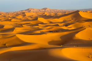 Morocco Desert Tour 2026 | Merzouga Camel Trek & Erg Chebbi
