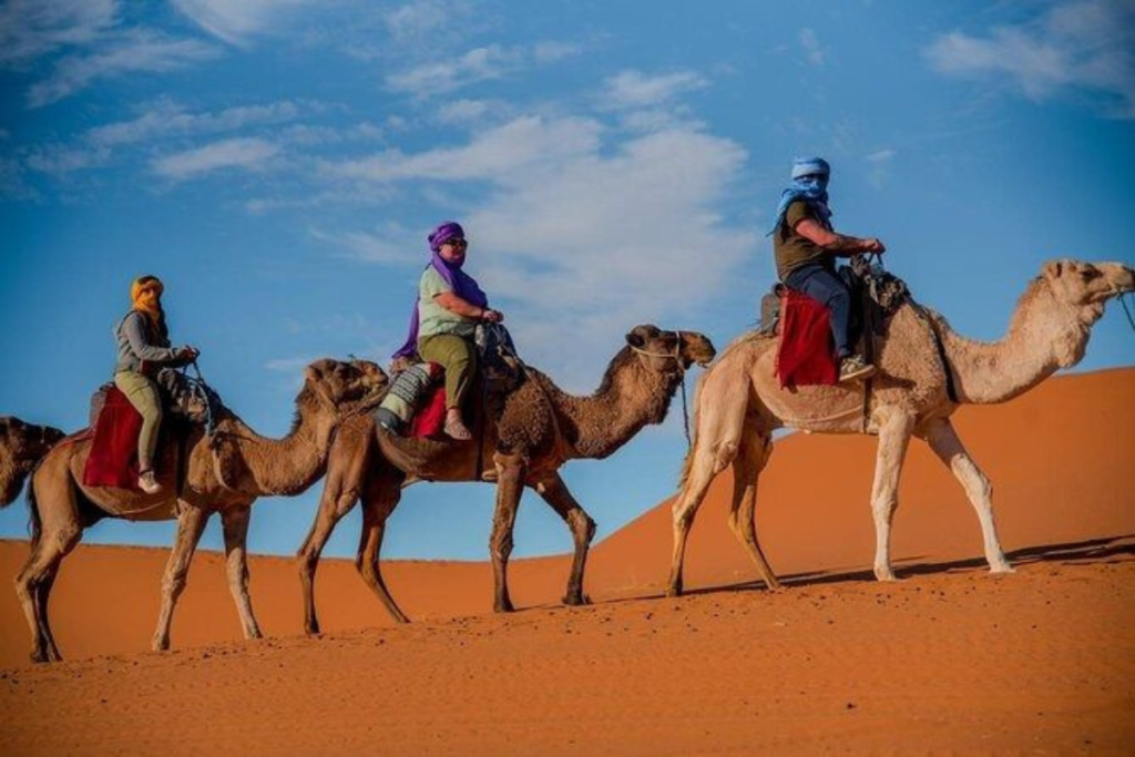 Fes To Marrakech Desert Tour 3 Days