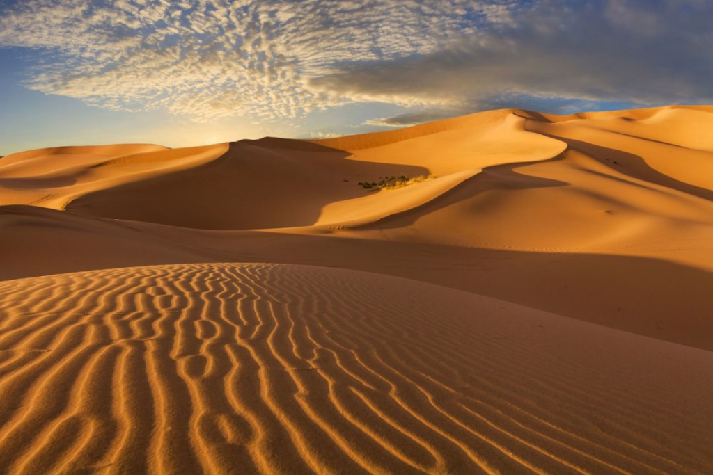 quads Merzouga