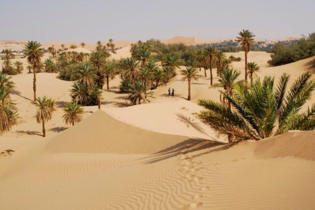 Erg Chebbi Sahara dunes