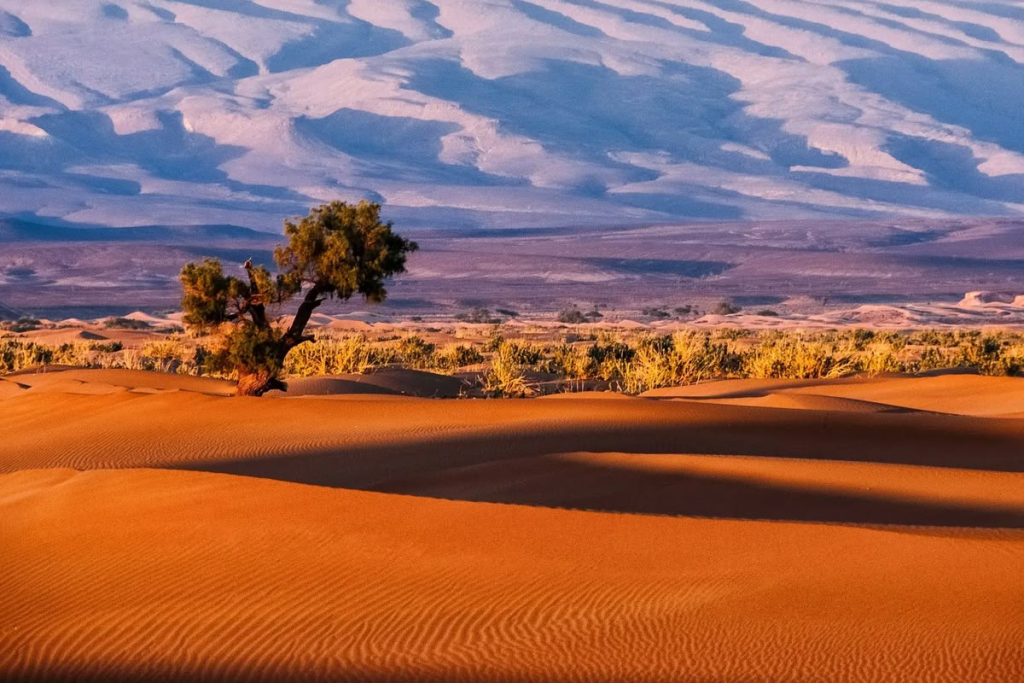 5-day Sahara trip from Fes to Marrakech